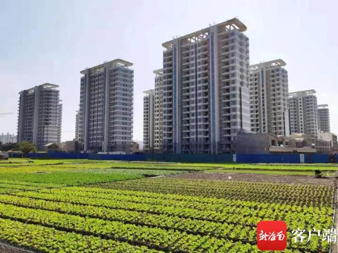 匠心筑造 荣耀加冕——三亚亚沙村项目荣获海南省建筑施工优质结构工程奖
