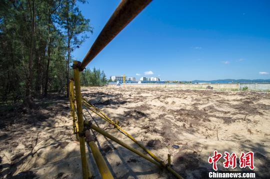 三亚高档酒店“侵海”调查 建筑紧邻海岸线，生态与发展的博弈